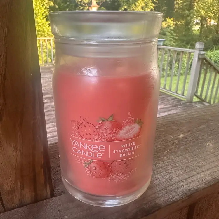 ☆☆WHITE STRAWBERRY BELLINI☆☆YANKEE CANDLE 20OZ. JAR☆ SEALED / BEAND NEW