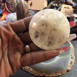 #21 - Sunday with the Peacock!!