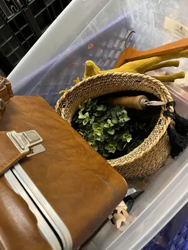 Goodwill Bins Haul Day 5!!