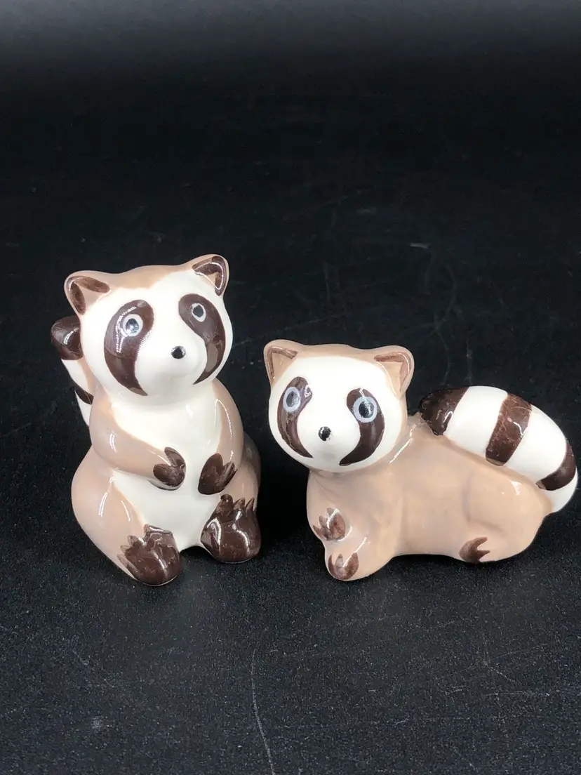 Raccoons Salt & Pepper Shakers