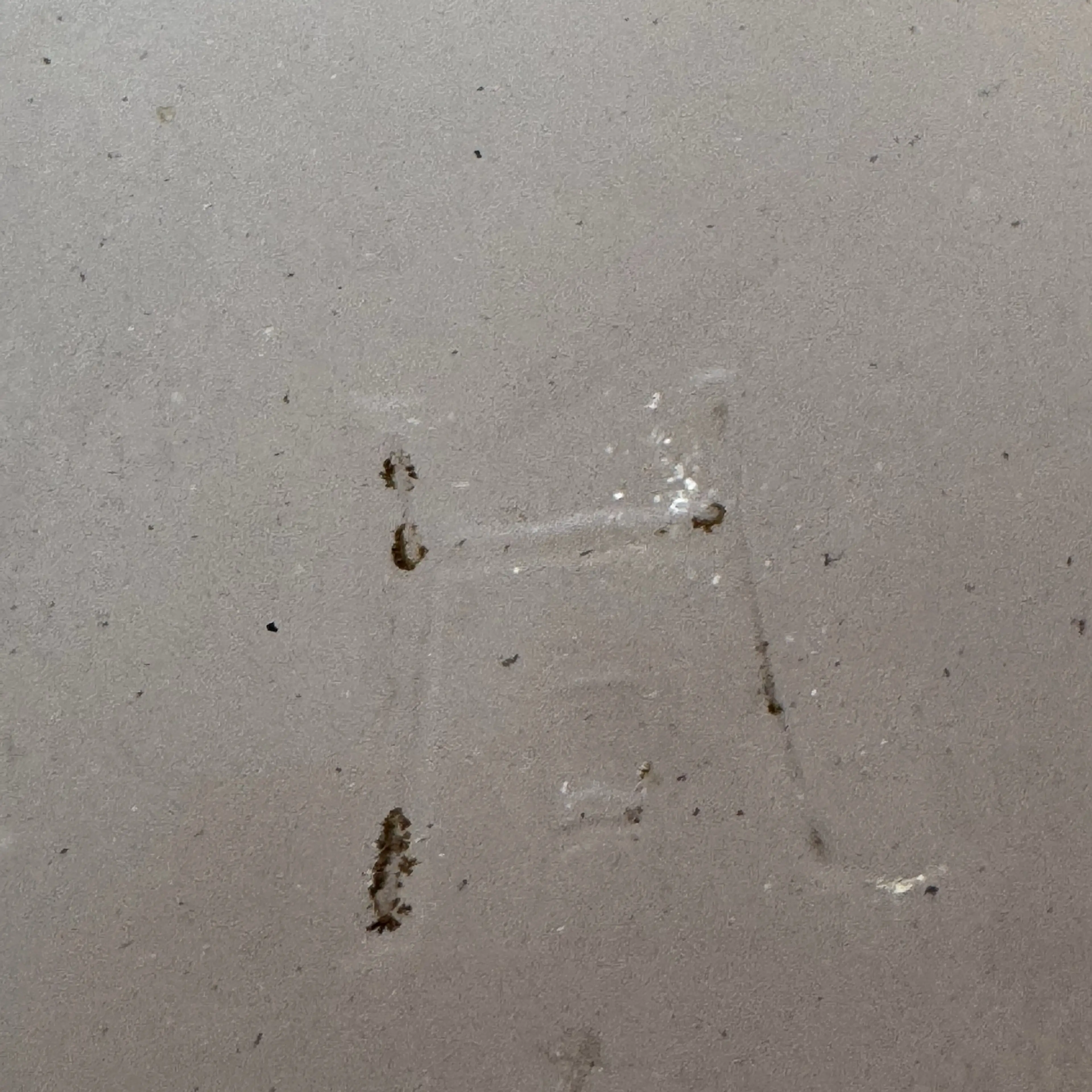 Image 5 of 5