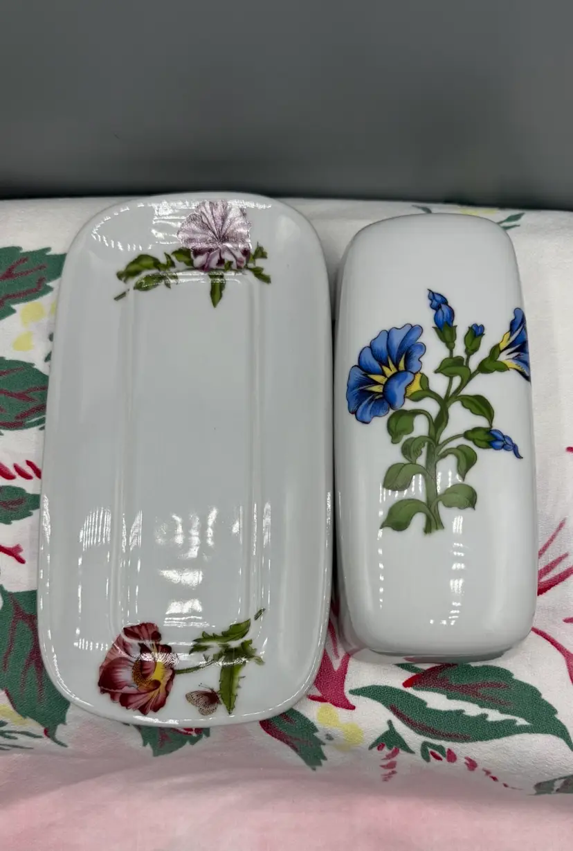 French Bonne Cuisine Botanical Butter Dish | Porcelaine de Chine Floral & Butterfly