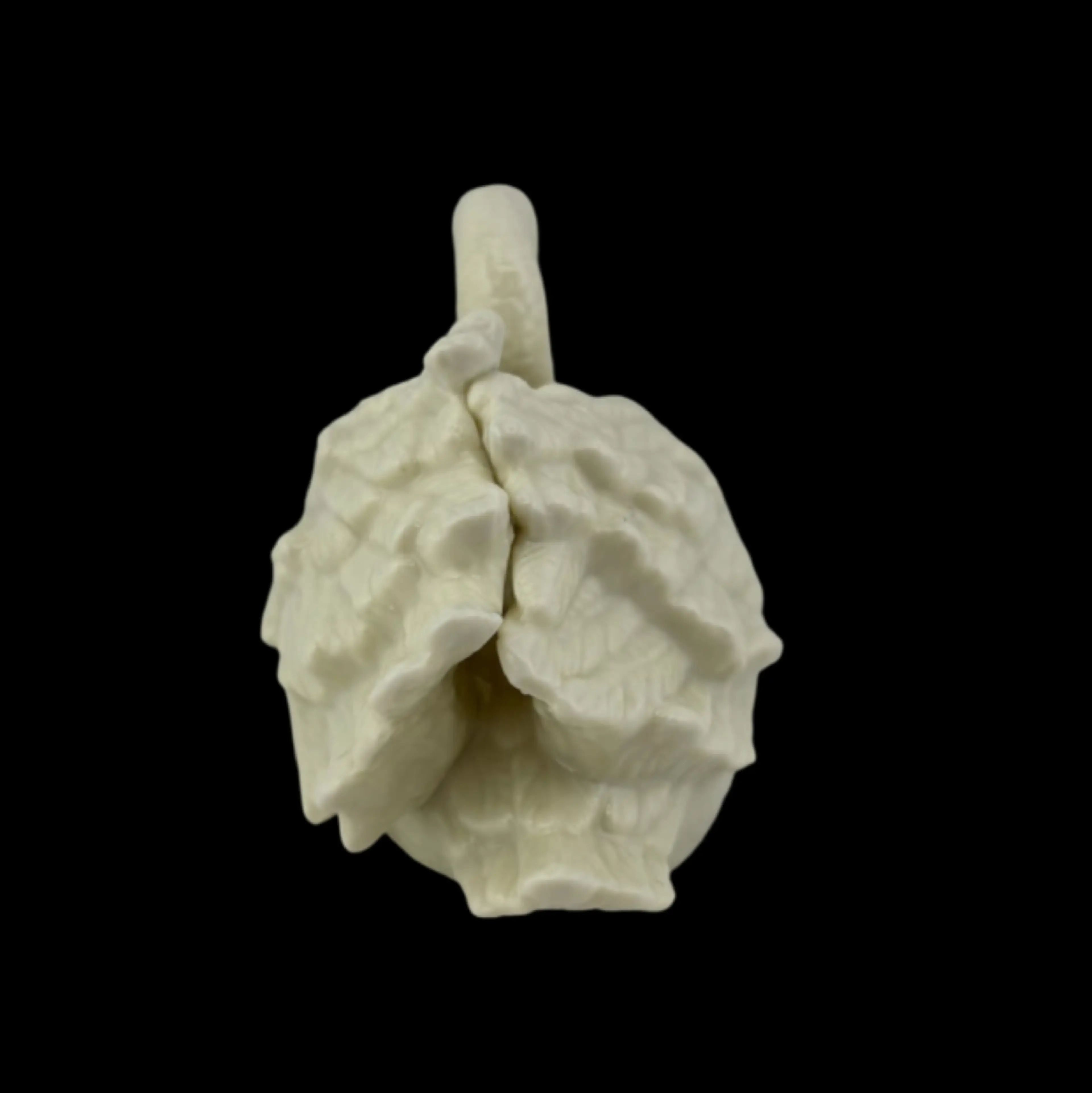Image 4 of 5