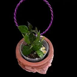 RR07 My Little Runaway