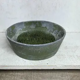 Vintage Flower Frog 🐸 Round