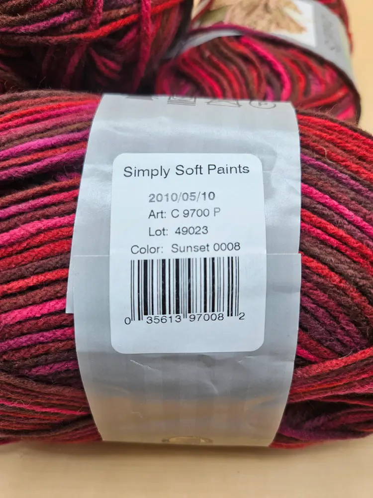 4 skeins Caron Simply Soft Paints Sunset Yarns