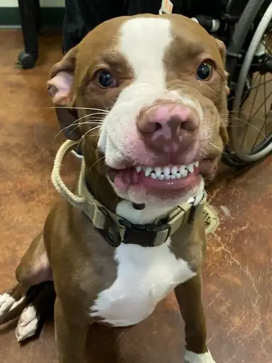 Artwork - Shop My “Made By Me” Art Pieces