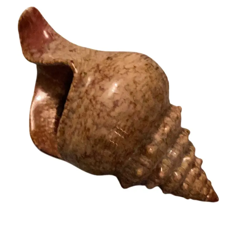 Wall pocket Planter Shape Of She’ll