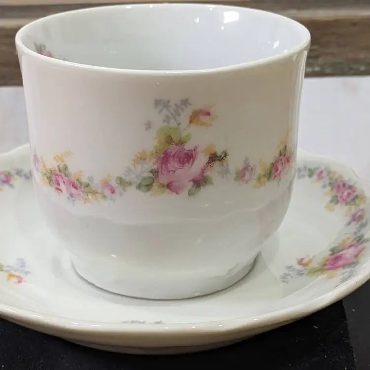 VTG KPF Germany Teacup & Saucer Pink Roses
