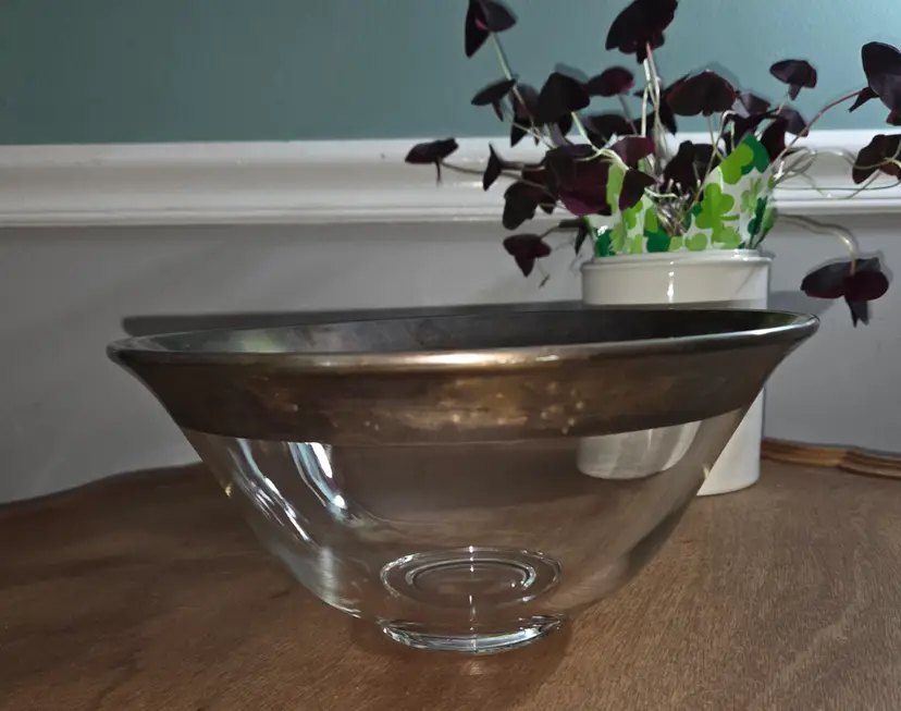 Dorthy Throp Mid-century silver rimmed bowl