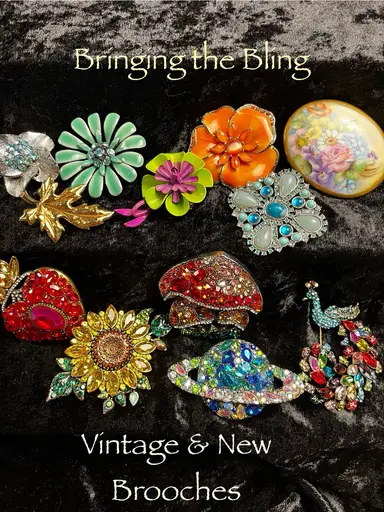 Bringing The Bling Vintage & New Brooches