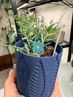 Propagation Pins - Flower Power Teal