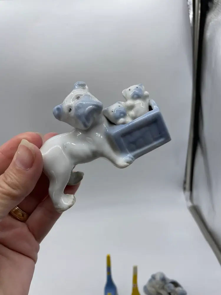 Cats And Dogs Mix Lotus