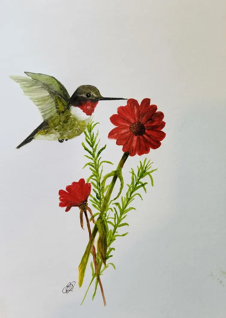 Hummingbird Original Watercolor Painting Signed By The Artist 5x7 Free Shipping