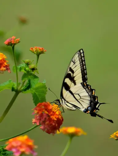 Adding And Running New Items 🎉