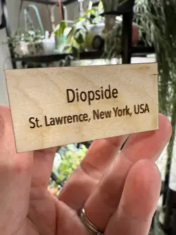 Large Specimen Stand