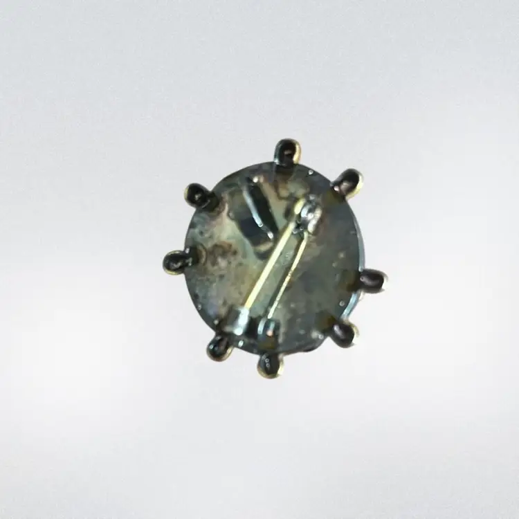 Ladybug Brooch