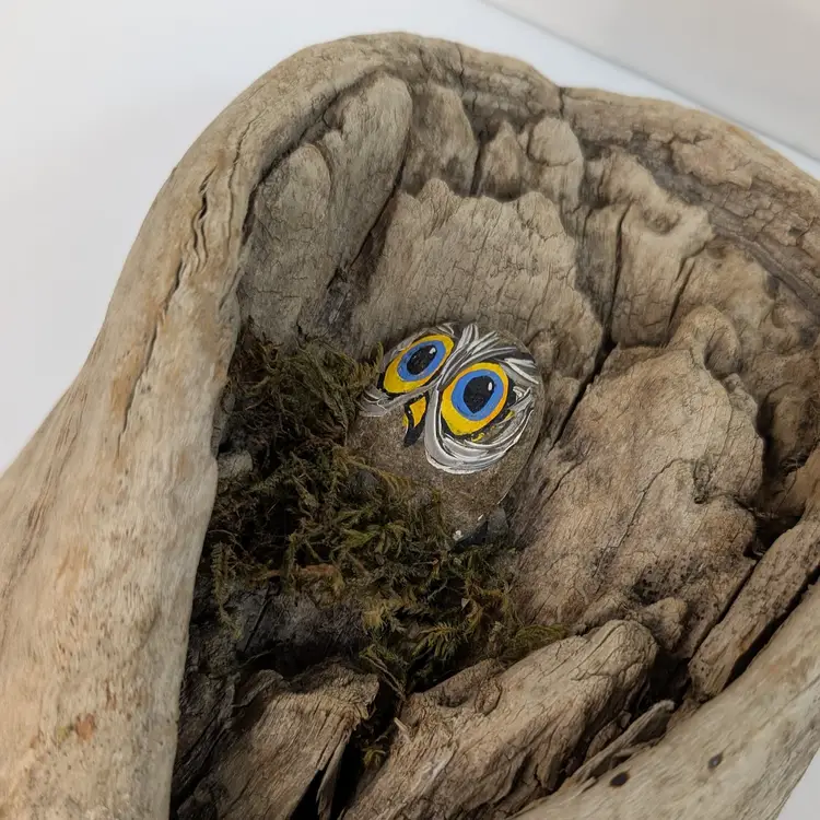 Vintage Driftwood Sculpture Owl Owlet Nest Wall Hang Halloween Decor 5.25 x 12"
