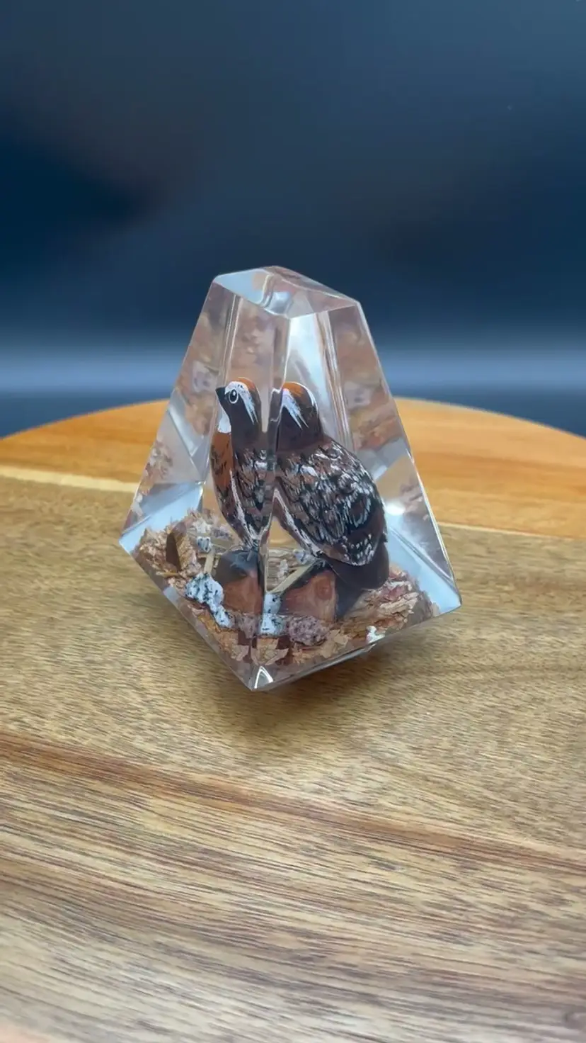 Vintage Paperweight - Hand-Carved and Painted Northern Bobwhite Quail Encased in Lucite