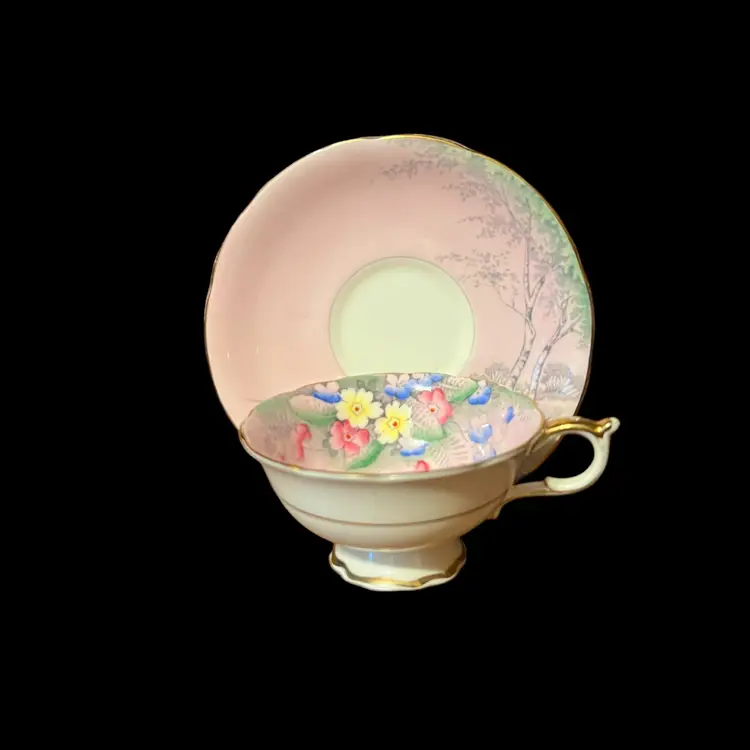 Paragon Tea Cup and Saucer Set Pink Floral Landscape with Birch Trees Fine Bone China Double Warrant