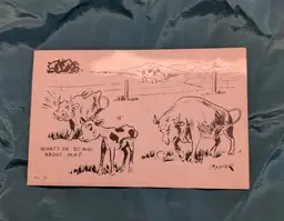 Naughty Vintage Postcard "What's Pa so mad about, Ma?"