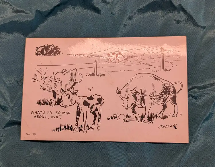 Naughty Vintage Postcard "What's Pa so mad about, Ma?"