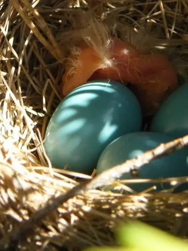 One Crate at a Time Inventory Reduction