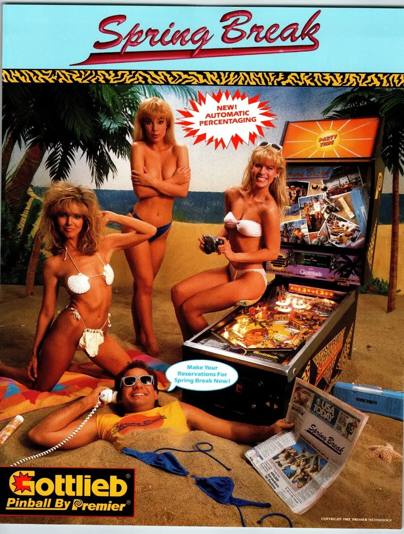 Spring Break Pinball FLYER Original Game Bikini Girls 1987 Artwork 2 Sides
