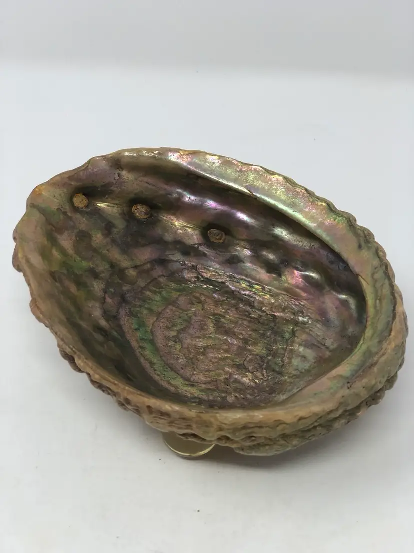 Abalone Seashell Trinket Dish on Lucite Ball Feet