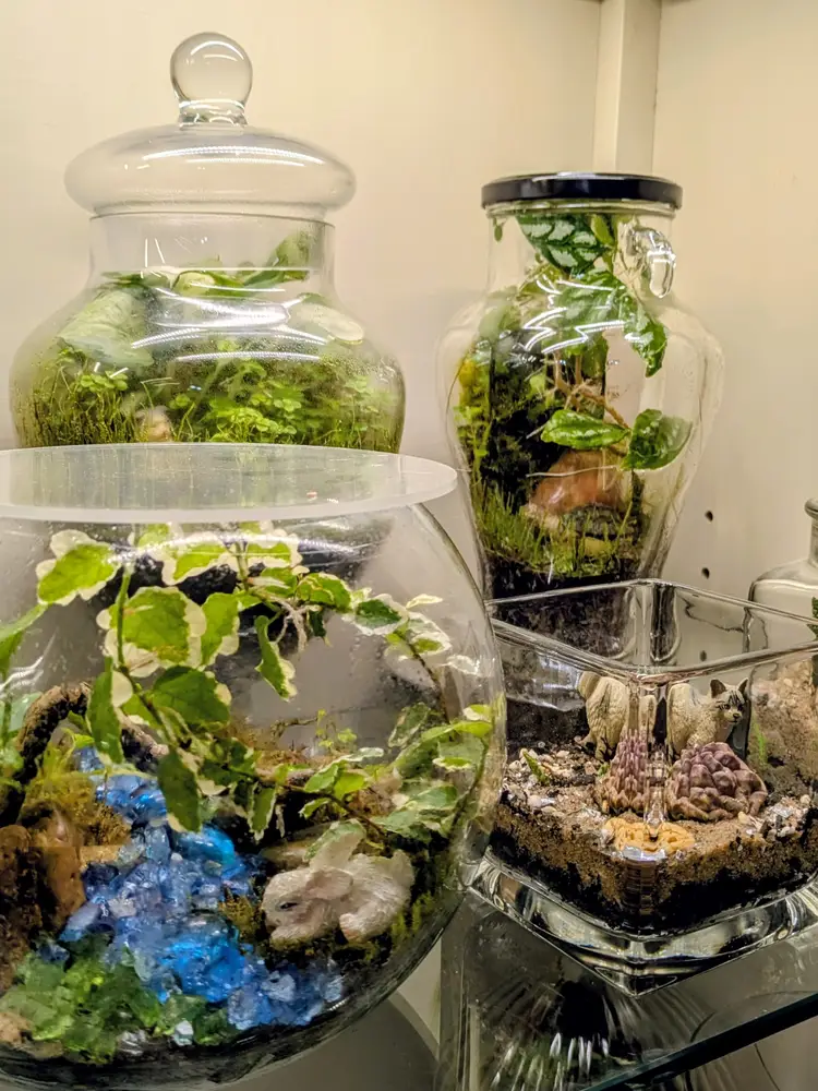 Terrariums and Custom Kits Learn & Design with us
