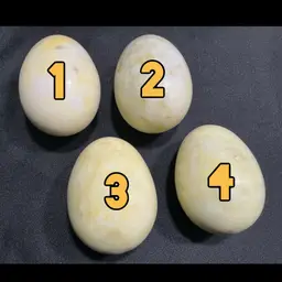 THE YELLOW GROUP - Polished Marble Stone Eggs – Choose Your Egg