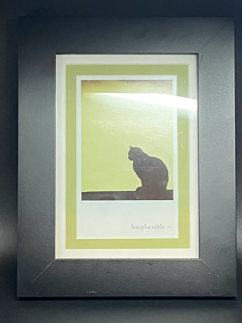 9 x 7 Framed Artwork Irreplaceable (Cat Silhouette)