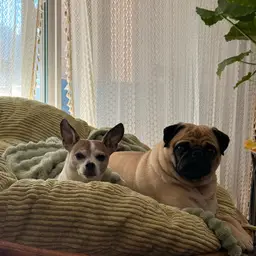 #01 - Misc. Bugs - Just In Case!!