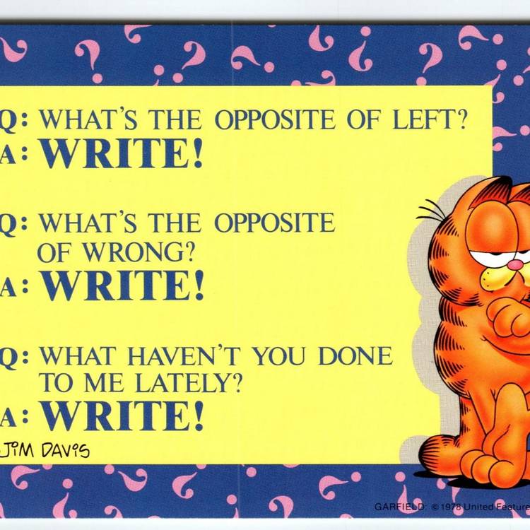 Garfield Question Garfield Cat Postcard Many Question Marks Jim Davis Comic Orange 1978 ...