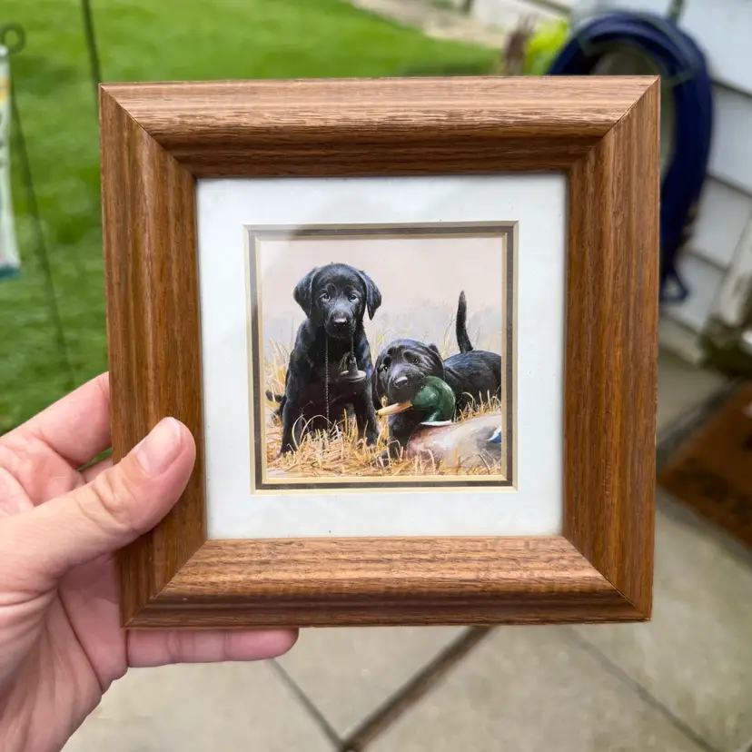 Jim James Killen Double Trouble Lab Country Decoy Geese Cabincore Farmhouse 6”