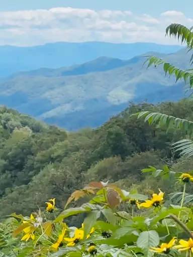 Late Night Pop Up ( New Lot Let’s Dig)