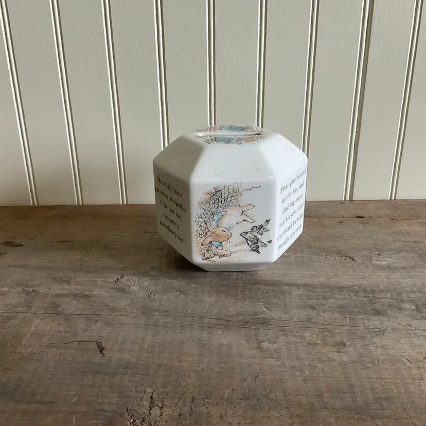 Peter Rabbit Bank, Wedgwood England, Beatrix Potter, Hexagon Shape Baby Bank, Baby Shower Gift, Peter in the Garden