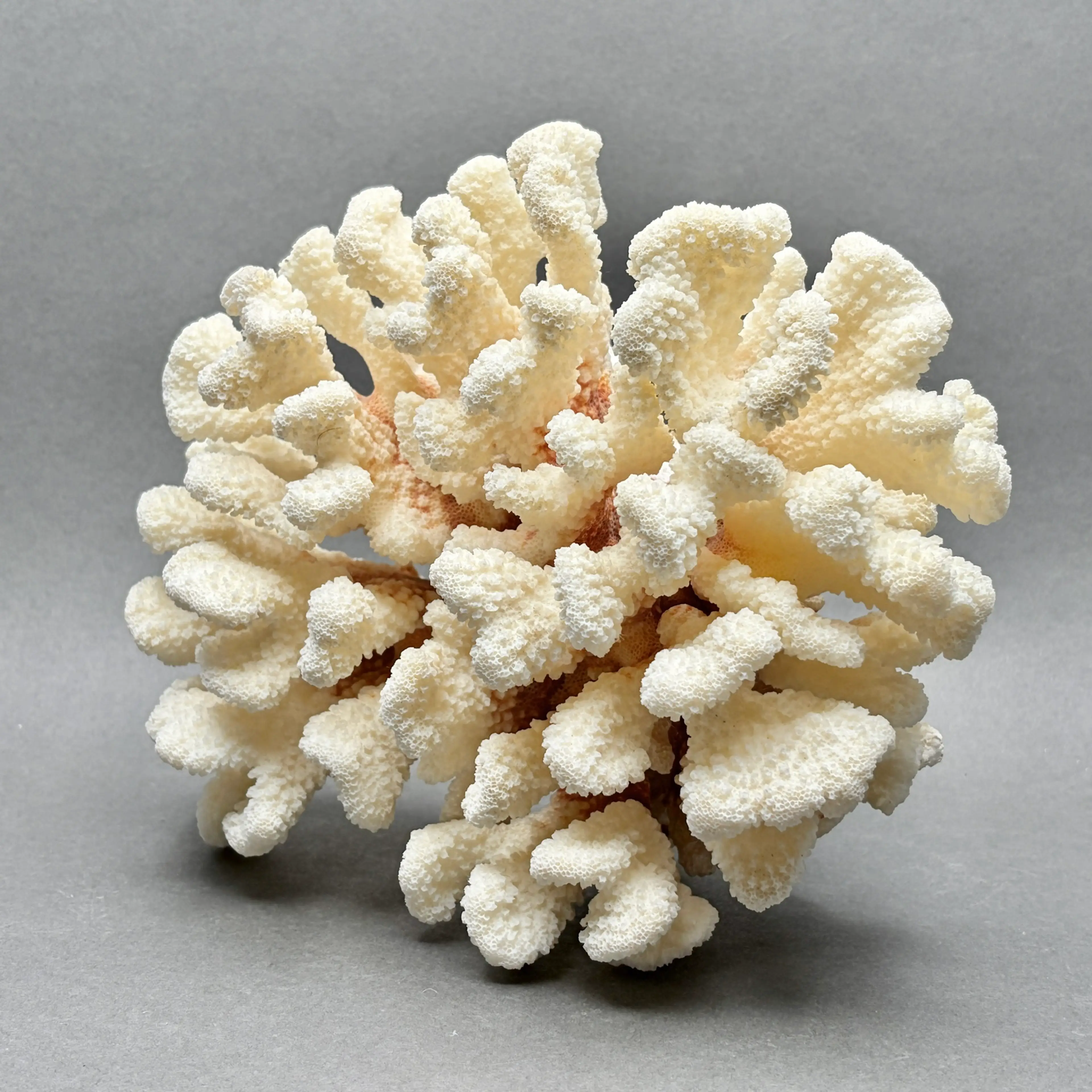 Image 2 of 10