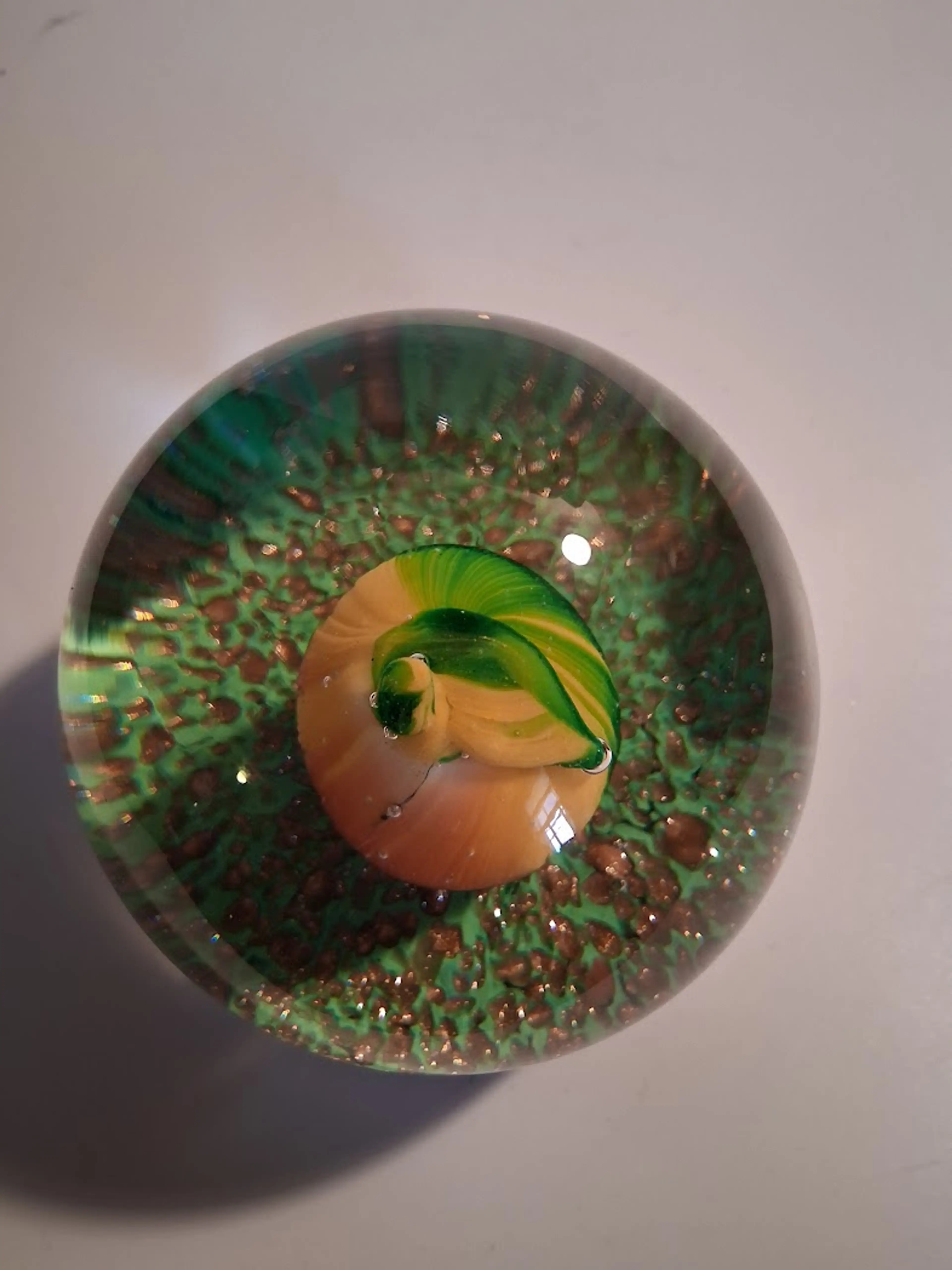 Image 5 of 8