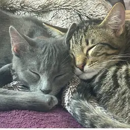 Random Clothing Pull 4-7 oz