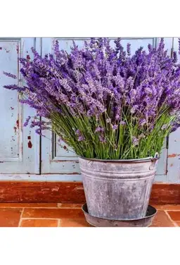 Crafters Companion Sub Kit NEW