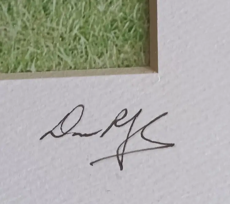 Signed Stacked Farm Animal Picture Titled, "When No one's Looking"