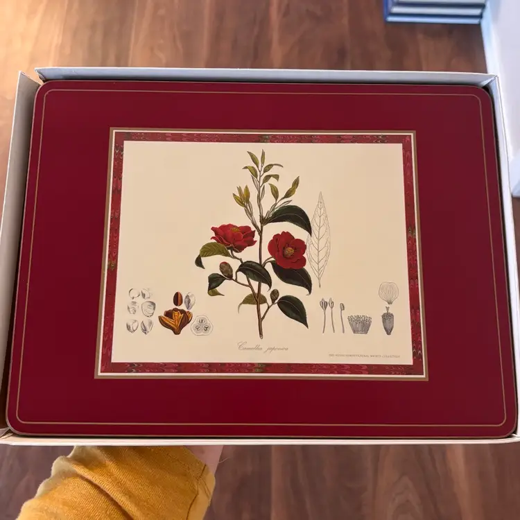 Vintage England Botanical Floral Placemats Set