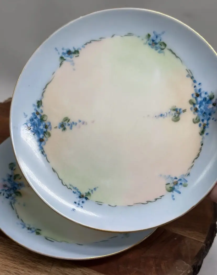Silesia Germany 2 Porcelain Side Plates Hand Painted Forget Me Not Blue Flowers
