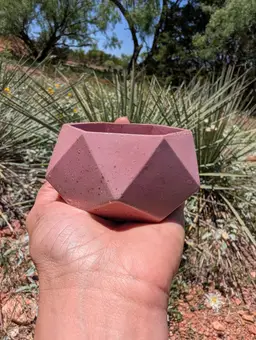 3”x2” Pink & Gold Hexagon Concrete Planter