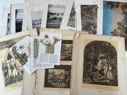 100 Antique Book Page Prints. 1800s-1900s Ephemera. Lithographs, Engravings, Graphics, Crafting, Scrapbooking, Bulk #11