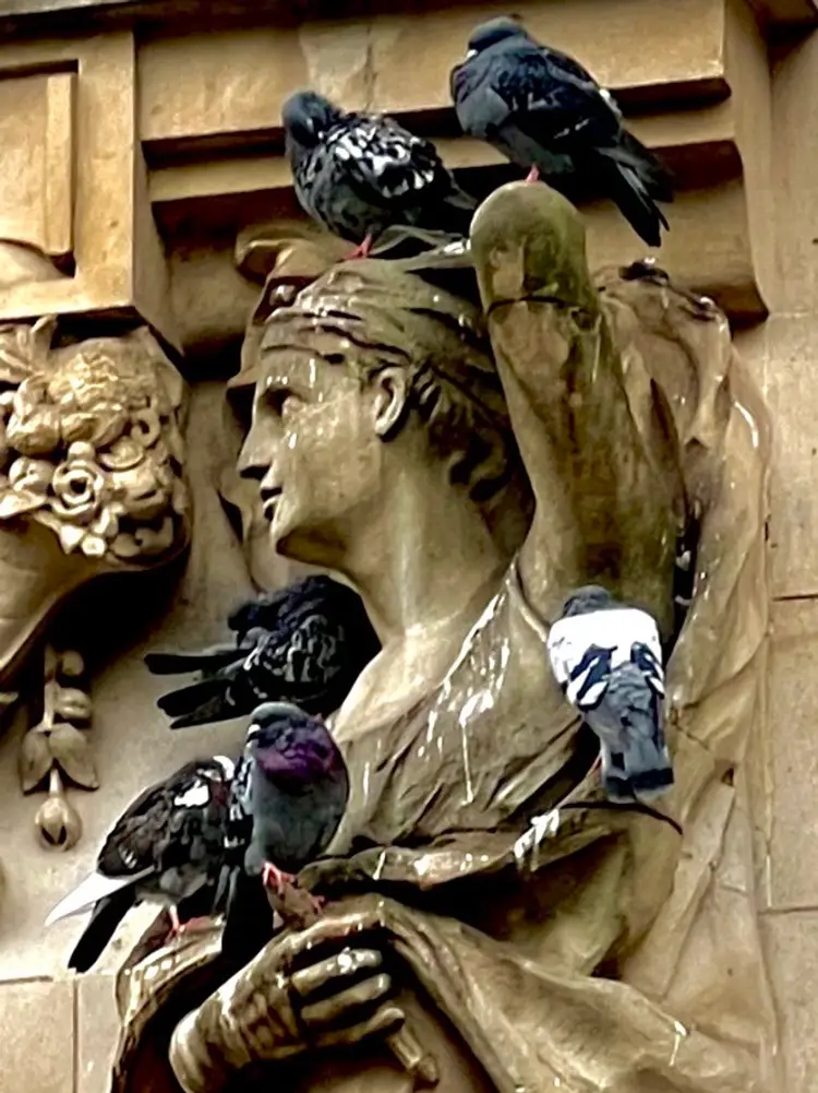 I’m Back! What Did I Find In The 🇬🇧UK🇬🇧 & Variety W/ Vino! Let’s Do This!