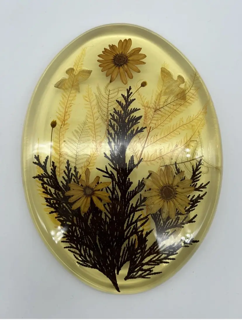 Vintage MCM Mid Century Lucite Trivet FLOWER POWER Daisy and Ferns