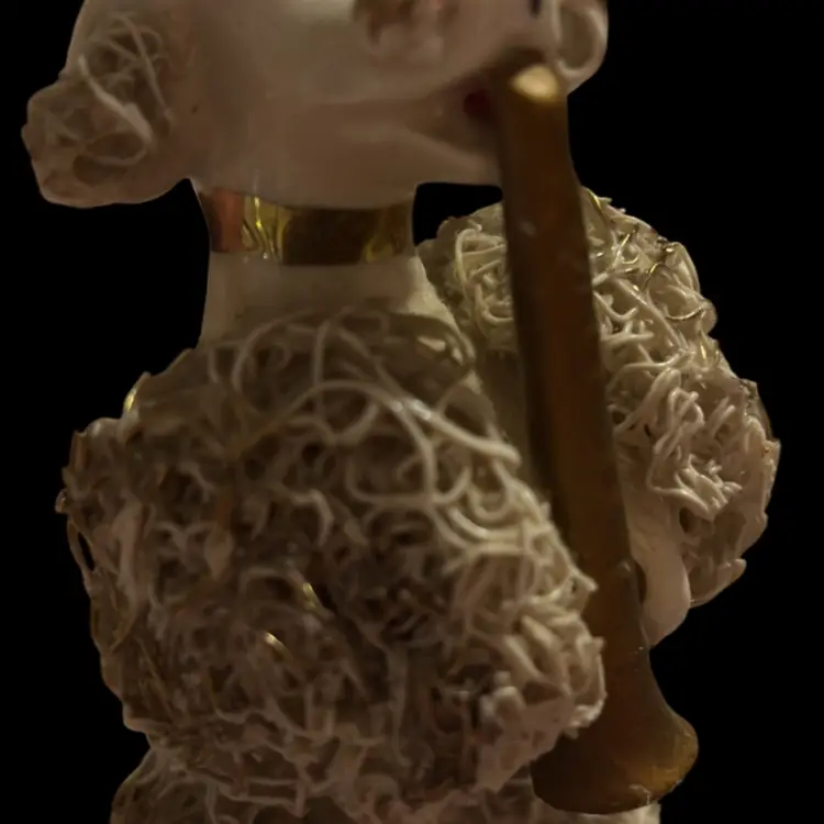 Spaghetti White Poodle Playing A Musical Instrument
