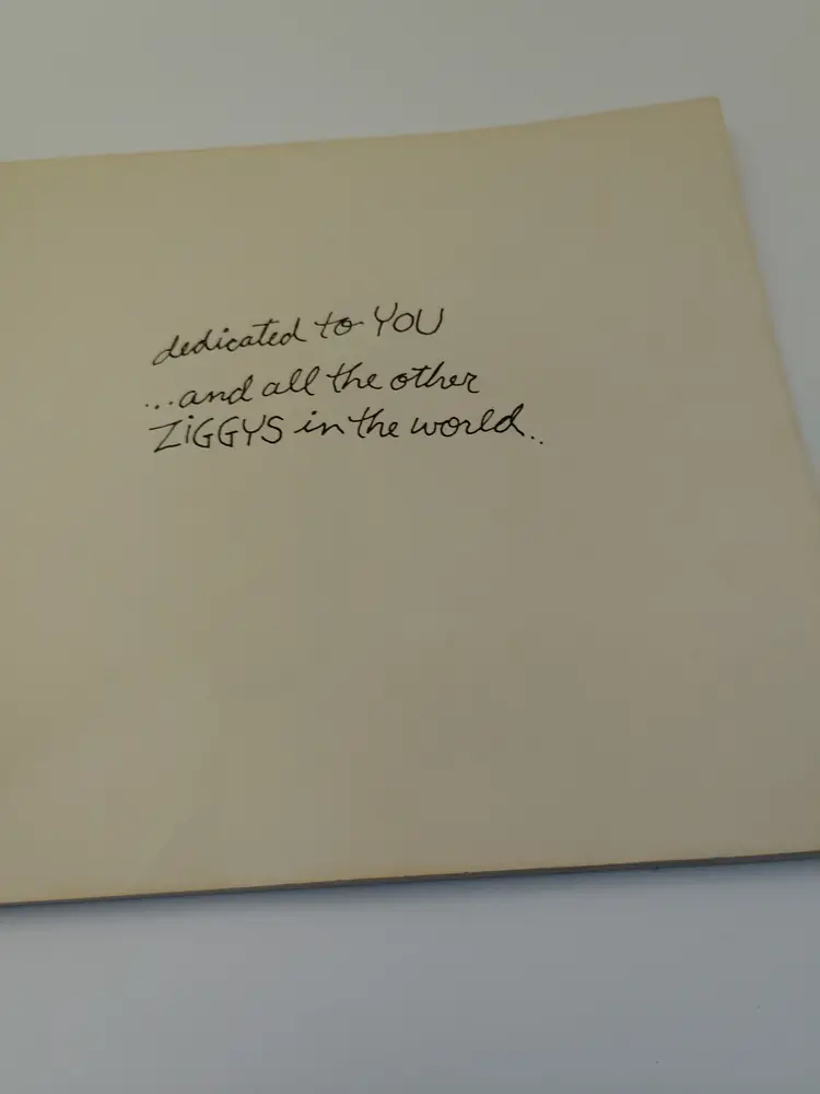 1973 Vintage Life is just a bunch of Ziggys.